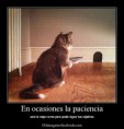 /album/imagenes-graciosas/frases-divertidas-para-facebook-2013-5-jpg/