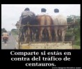 /album/imagenes-graciosas/imagenes-graciosas-para-facebook-centauros-jpg/