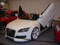 /album/fotogaleria-fotos-de-autos-tuning/a800px-audi-tt-roadster-tuning-jpg1/